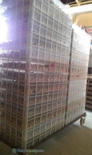 供應河南鵪鶉苗批發(fā) 南昌林友鵪鶉養(yǎng)殖場供應_農(nóng)副產(chǎn)品_世界工廠網(wǎng)中國產(chǎn)品信息庫